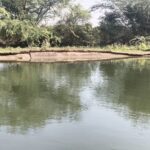 కేసీ కెనాల్ పగుళ్లతో రైతుల్లో ఆందోళన